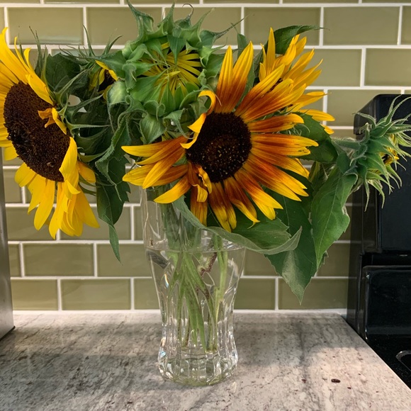 Meet your Posher, Jennifer - Picture 1 of 1